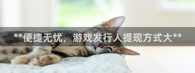 顺德蓝狮电商