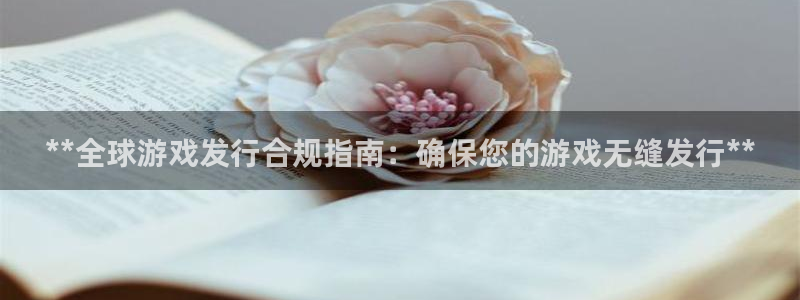 蓝狮集团公司怎么样