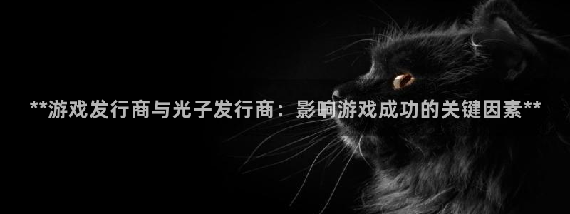 广州蓝狮电子商务：**游戏发行商与光子发行商：影响游戏成功的关键因素**