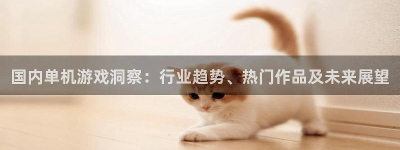 蓝狮在线注册地址在哪里查：国内单机游戏洞察：行业趋势、热门作品及未来展望