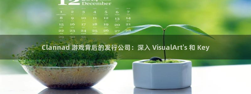 蓝狮lvnces是什么档次