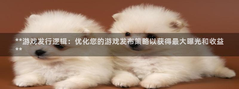 蓝狮电商怎么样知乎：**游戏发行逻辑：优化您的游戏发布策略以获得最大曝光和收益
**