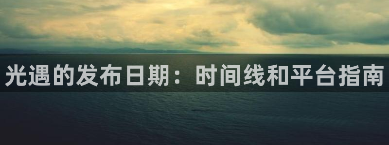 蓝狮子公司怎么样知乎