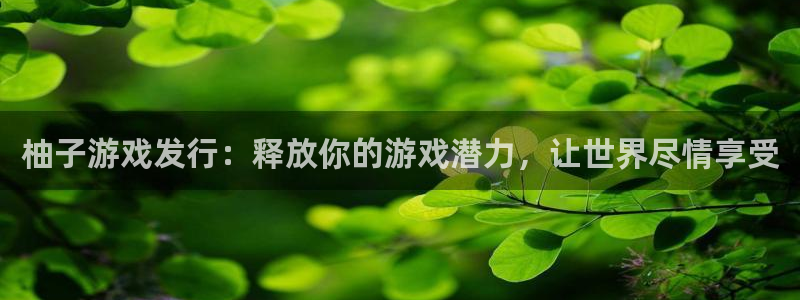陕西蓝狮子文化创意有限公司是做什么的：柚子游戏发行：释放你的游戏潜力，让世界尽情享受