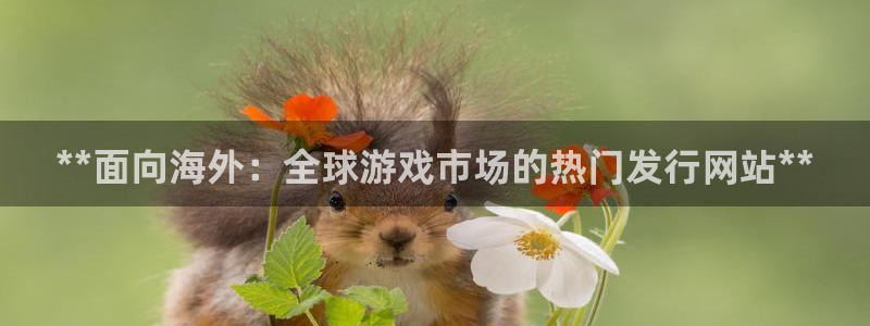 蓝狮户外：**面向海外：全球游戏市场的热门发行网站**