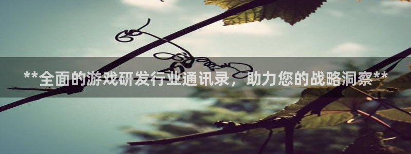 蓝狮在线主管他494o3 主管：**全面的游戏研发行业通讯录，助力您的战略洞察**