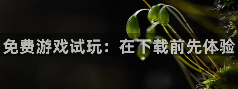 蓝狮在线注册地址在哪里查询：免费游戏试玩：在下载前先体验