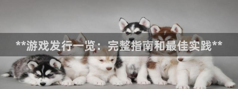 蓝狮军团是哪个国家队：**游戏发行一览：完整指南和最佳实践**