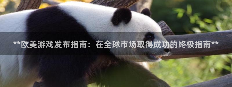 陕西蓝狮子文化创意有限公司是做什么的