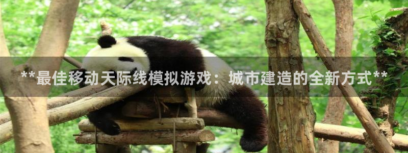 蓝狮在线注册方法有哪些软件：**最佳移动天际线模拟游戏：城市建造的全新方式**