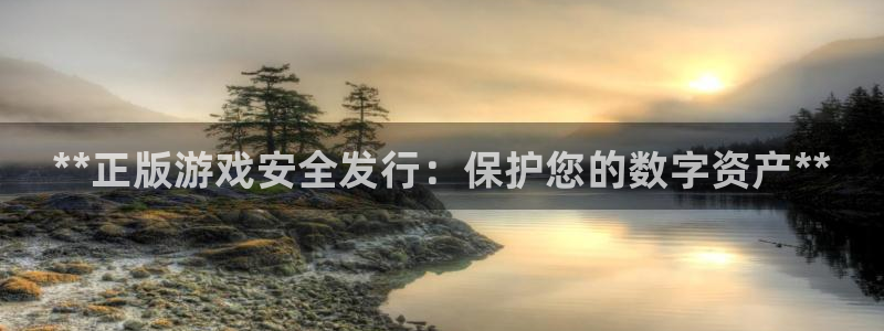 蓝狮在线注册平台怎么注册的：**正版游戏安全发行：保护您的数字资产**