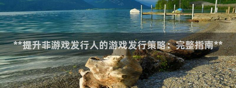 蓝狮子市值：**提升非游戏发行人的游戏发行策略：完整指南**