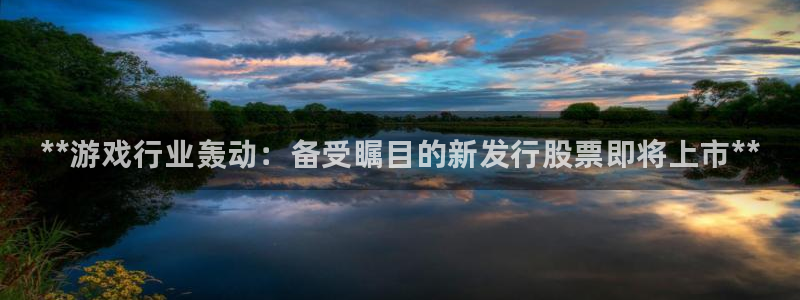 蓝狮衣服怎么样：**游戏行业轰动：备受瞩目的新发行股票即将上市**