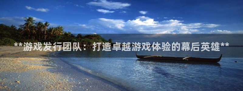 蓝狮在线平台注册账号注意事项：**游戏发行团队：打造卓越游戏体验的幕后英雄**