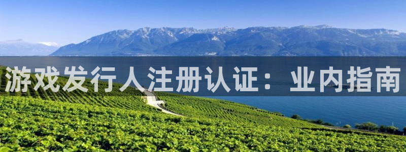 蓝狮集团是什么企业：游戏发行人注册认证：业内指南