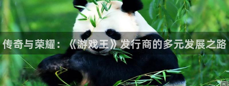 长沙蓝狮子电子商务有限公司