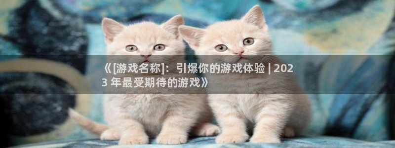 蓝狮电子商务有限公司招聘