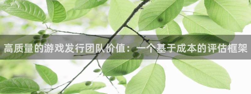 蓝狮男装品牌：高质量的游戏发行团队价值：一个基于成本的评估框架