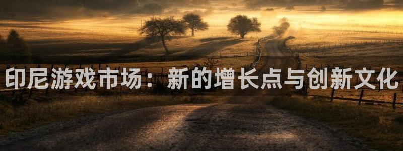 蓝狮子财经丛书：印尼游戏市场：新的增长点与创新文化