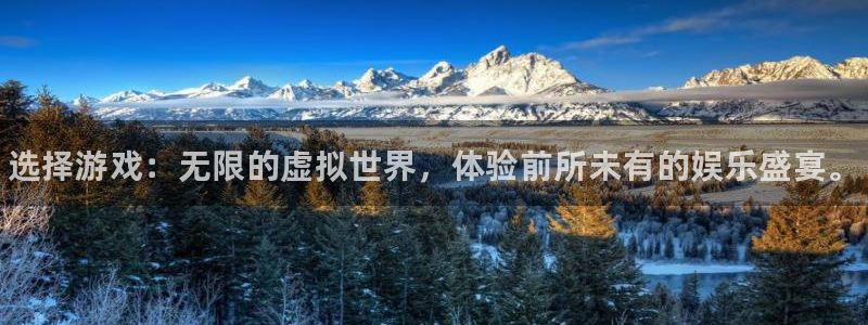 江苏蓝狮智得新材料：选择游戏：无限的虚拟世界，体验前所未有的娱乐盛宴。