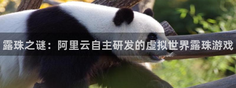 蓝狮在线登录注册账号安全吗可靠吗：露珠之谜：阿里云自主研发的虚拟世界露珠游戏